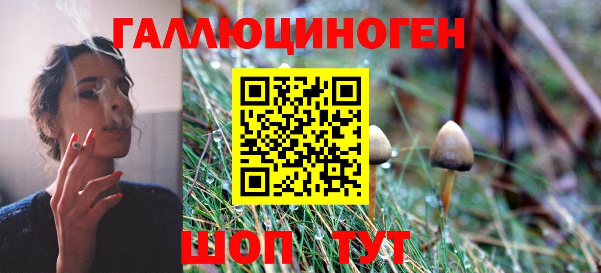 Галлюциногенные грибы прущие грибы Касимов