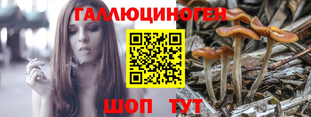 Галлюциногенные грибы прущие грибы  Вход с VPN  Касимов  Галлюциногенные грибы прущие грибы 